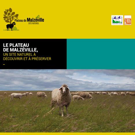 Le Plateau de Malzéville s'anime au fil des saisons— Métropole du Grand Nancy | Nancy, Lorraine | Scoop.it