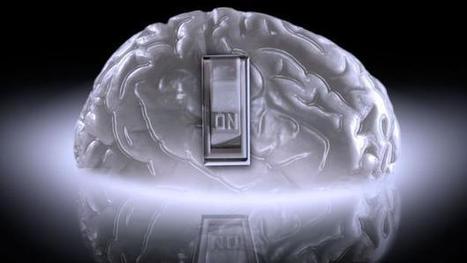 Tissue engineering: Grow your own smart organs | Genetic Engineering in the Press by GEG | Scoop.it