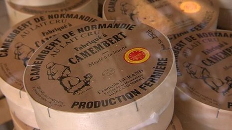 Le camembert de Normandie bientôt inscrit au patrimoine de l'UNESCO ? - France 3 Normandie | Lait de Normandie... et d'ailleurs | Scoop.it