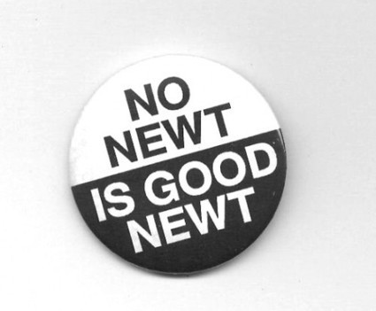 No Newt Is Good Newt | Dare To Be A Feminist | Scoop.it