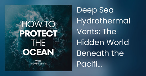Deep Sea Hydrothermal Vents: The Hidden World Beneath the Pacific That Shapes Life on Earth | Soggy Science | Scoop.it