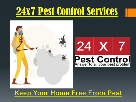 PPT - Pet Contro in Noida PowerPoint Presentation, free download - ID:12044573 | Pest Control Services | Scoop.it
