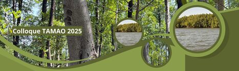 AAC Colloque TAMAO 2025 | Télédétection appliquée à la cartographie de l’état et des dynamiques des mangroves d’Afrique de l’Ouest : vers la fin des controverses ? – | Télédétection veille IST INRAE & AgroParisTech | Scoop.it