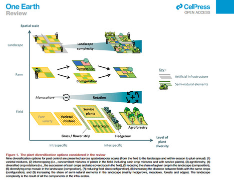 [Article de synthèse]  Protecting crops with plant diversity: Agroecological promises, socioeconomic lock-in, and political levers - Institut Agro Rennes-Angers -  | SCIENCES DU VEGETAL | Scoop.it