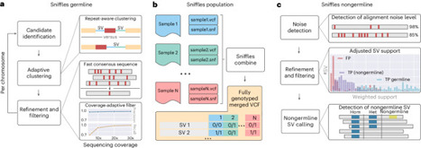 Structural variant calling using Sniffles2 | Npc | RMH | Scoop.it