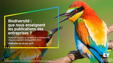 Biodiversité : les leçons tirées des publications des entreprises - EY - France | Biodiversité | Scoop.it