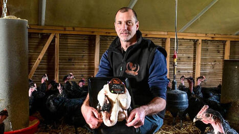 Des chapons de champion&nbsp;: &laquo;&nbsp;Nous les finissons au lait cru, je ne connais personne d&rsquo;autre qui le fasse&nbsp;&raquo; - Ouest France [Abonn&eacute;s] | Agriculture en Pays de la Loire | Scoop.it