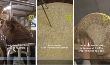 Les secrets de fabrication du fromage Salers Tradition | Lait de Normandie... et d'ailleurs | Scoop.it
