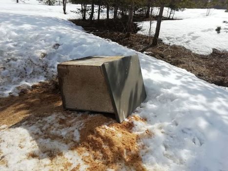 Karhu kaatoi koirankoppeja ja s&ouml;i koiranruokaa Suomussalmella &ndash; katso video, kun karhu on koiratarhassa | Yle Uutiset | yle.fi | 1Uutiset - Lukemisen t&auml;hden | Scoop.it