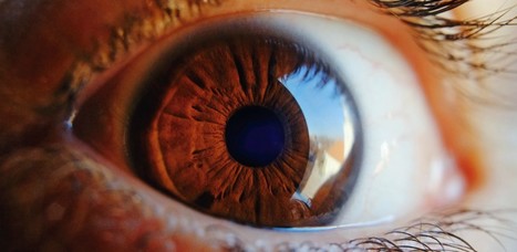Contact Lens That Can Release Drug Could Be Used To Treat Glaucoma - Slashdot | Daily Magazine | Scoop.it