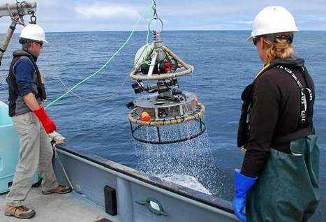 Monterey Bay Aquarium testing the waters with open source camera | Remotely Piloted Systems | Scoop.it