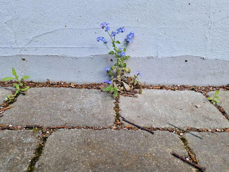 Omistusasujille varoitus &ndash; &rdquo;Nyt kannattaa toimia&rdquo; | 1Uutiset - Lukemisen t&auml;hden | Scoop.it