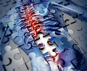 Osteoporosis Is Scurvy of the Bone, Not Calcium Deficiency | Health Supreme | Scoop.it