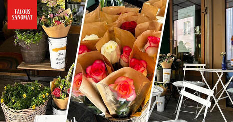 Flowers and Wine -kukkakauppa ja viinibaari kertoo, ett&auml; kaupan edess&auml; ollut kukkabaari piti sulkea, koska ihmiset veiv&auml;t kukkia maksamatta | Lehti | Scoop.it