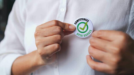  Les badges numériques : une approche différente de la reconnaissance des compétences en Bretagne | Formation : Innovations et EdTech | Scoop.it
