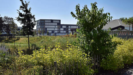 Lille Sud : (re)d&eacute;couvrir la nature avec le Festival des Jardins | Nature en ville | Scoop.it