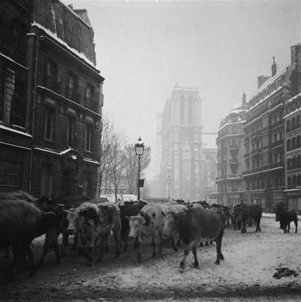 Histoire et photographie : Paris, hiver 1945 | La Gazette des abattoirs | Scoop.it