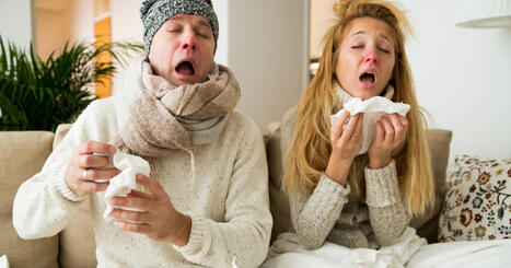 Sant&eacute;. Pourquoi la grippe pourrait-elle &ecirc;tre particuli&egrave;rement virulente cette ann&eacute;e&nbsp;? | @ZeHub | Scoop.it