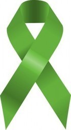 Blog | Tampa Personal Injury Lawyers | Brain Injury & Car Accident Attorneys | Personal Injury Attorney News | Scoop.it