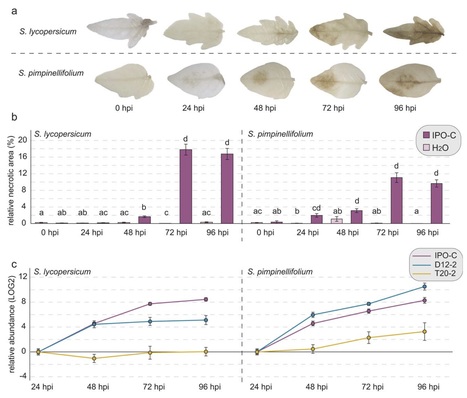 Molecular Plant Pathology:&nbsp;Signatures of selection and host-adapted gene expression of the Phytophthora infestans RNA silencing suppressor PSR2 (2016) | Plant Pathogenomics | Scoop.it