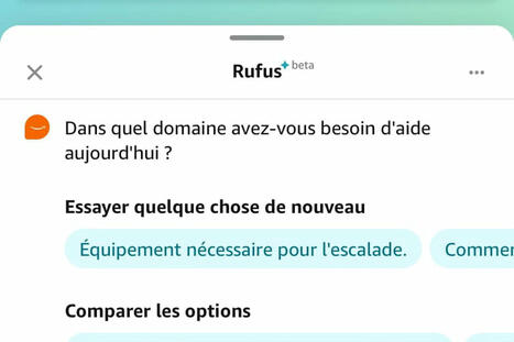 Rufus, le chatbot d'Amazon qui ferait mieux de se taire | Veille | Scoop.it