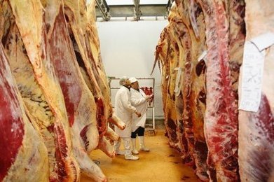 Anglet (64) : L'abattoir veut se tailler des parts de marché | La Gazette des abattoirs | Scoop.it