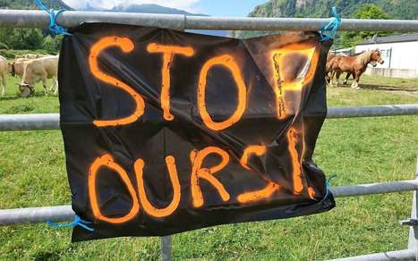 Les jeunes agriculteurs d’Aragon appellent à une grande manifestation pour le retrait des ours des Pyrénées  | Vallées d'Aure & Louron - Pyrénées | Scoop.it