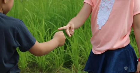 Tu peor rival está en tu mente: el enigma cerebral del ‘piedra, papel o tijera’ | Mi Cajón de Ideas | Scoop.it