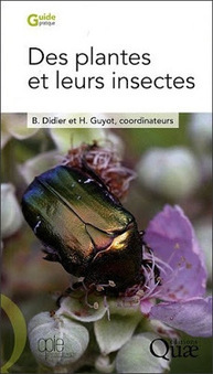 [LIENS, DOCUMENTATION] Des plantes et leurs insectes | Les Colocs du jardin | Scoop.it