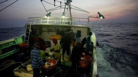 Beatings, Mutiny, Indifference in Taiwan's Seafood Industry | Coastal Restoration | Scoop.it