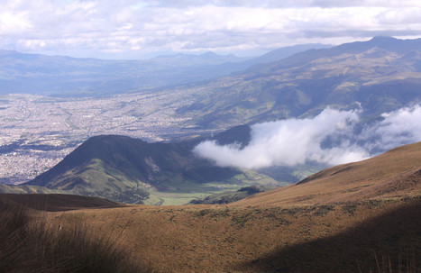 Cooperation and the Commons 2014 in Review | P2P Foundation | Peer2Politics | Scoop.it