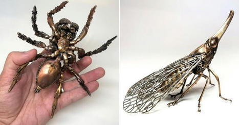 Un biologiste redonne vie à des insectes "préhistoriques" grâce au métal et le résultat est grandiose | Variétés entomologiques | Scoop.it