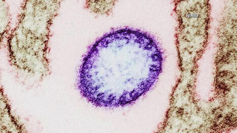 India says it has contained Nipah virus outbreak as some Asian countries ramp up health screenings - WTHR | Operation Deimos | Scoop.it