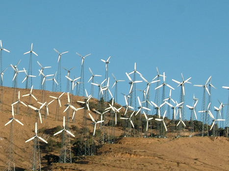 Wind Power Production Record Set in Colorado | The EcoPlum Daily | Scoop.it