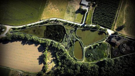 La zone libellule | Biodiversité | Scoop.it