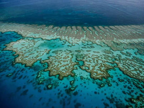 Acidité, chaleur, montée des eaux : des chiffres qui donnent le vertige | Planète DDurable | Scoop.it
