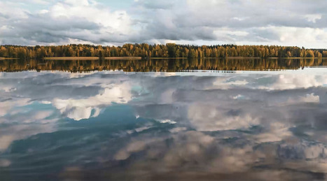 RollBot - Turn images into looping gifs. Lightning-fast. | Digital Delights - Images & Design | Scoop.it