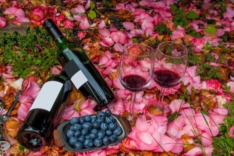 Blueberry wine and wine innovation | IPCI : Ingénierie de Produits à l'interface Cuisine-Industrie | Scoop.it