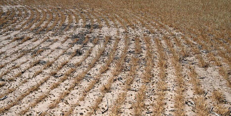 GOP's 'unconscionable' omission in new farm bill has hunger experts furious - Raw Story | Backstabber Watch | Scoop.it