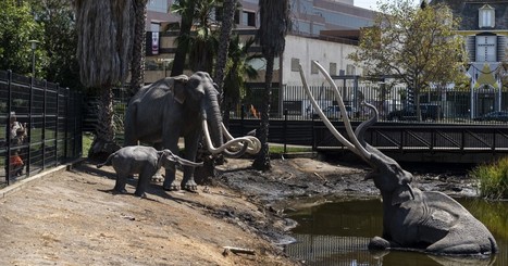 La Brea Tar Pits new design team keeps beloved mammoths | Coastal Restoration | Scoop.it