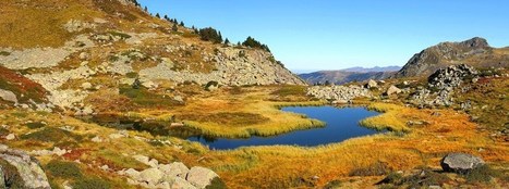 Concours images entièrement numérique et gratuit au festival Nature d'Ariège | Variétés entomologiques | Scoop.it