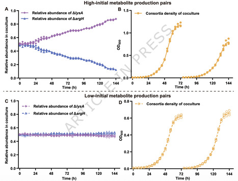 Low initial metabolite production enhances stability in syntrophic bacterial consortia | ComB | RMH | Scoop.it