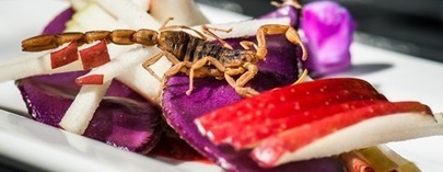 L’entomophagie : une révolution alimentaire | Variétés entomologiques | Scoop.it
