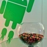 Asus wellicht eerste met Android 5.0 | Latest Social Media News | Scoop.it