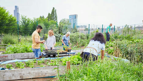 [Podcast France Inter 54 mn] L’agriculture urbaine va-t-elle transformer les métropoles ? | ESPACES VEGETALISES URBAINS | Scoop.it