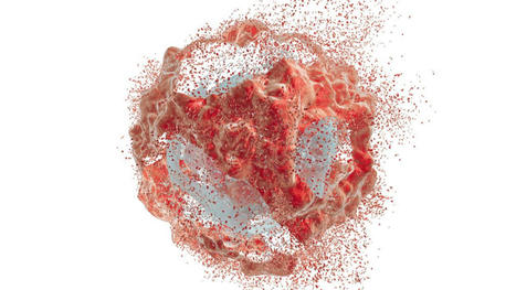Des chercheurs mettent au point un virus qui pousse les tumeurs cancéreuses à s'autodétruire | Think outside the Box | Scoop.it