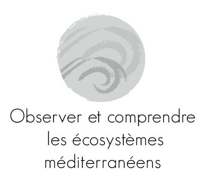 E-marin'lab - Cours en ligne | Biodiversité | Scoop.it