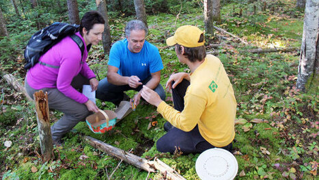 Des activit&eacute;s pour marier plein air et gastronomie - Cano&euml; | La Gastronomie | Scoop.it