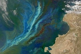 Australia seeks to limit ocean 'geoengineering' | OUR OCEANS NEED US | Scoop.it