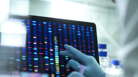 2025 Cancer Grand Challenges | Life Sciences Université Paris-Saclay | Scoop.it